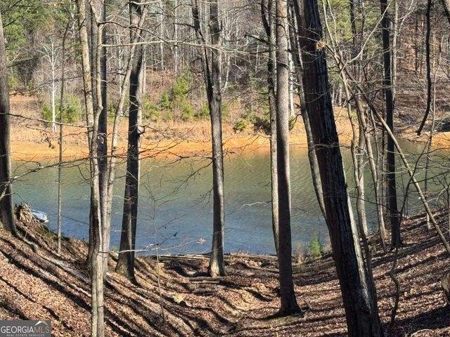 Land for sale in Gordon, Georgia