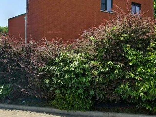 Appartement location à Hologne, Wallonie