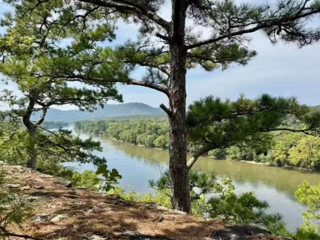 House for rent in Ark