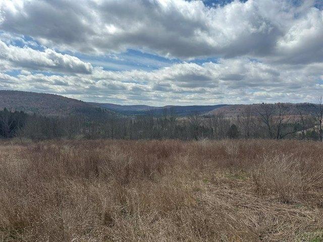Land for sale in Conklin, New York