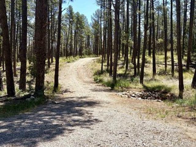 Land for sale in Timberon, New Mexico