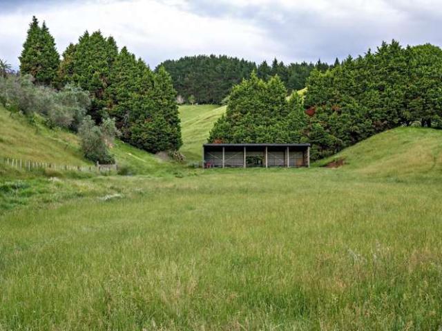 Property for sale in Bay Of Plenty