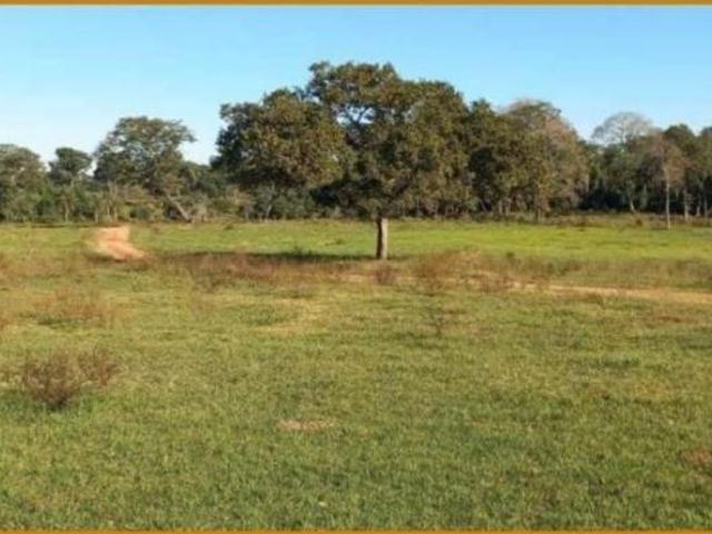 Sítio e chácara venda em Região Geográfica Imediata de Coxim, Costa Rica