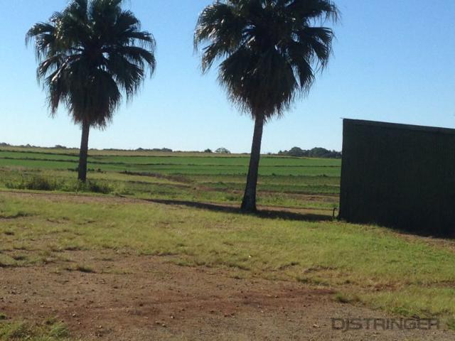 Warehouse for rent in Cudgen, New South Wales