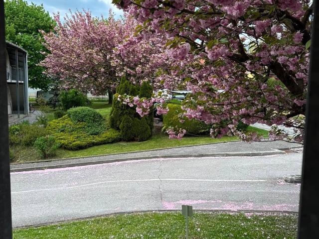 Apartment mieten in Gersdorf-Feistritz, Steiermark