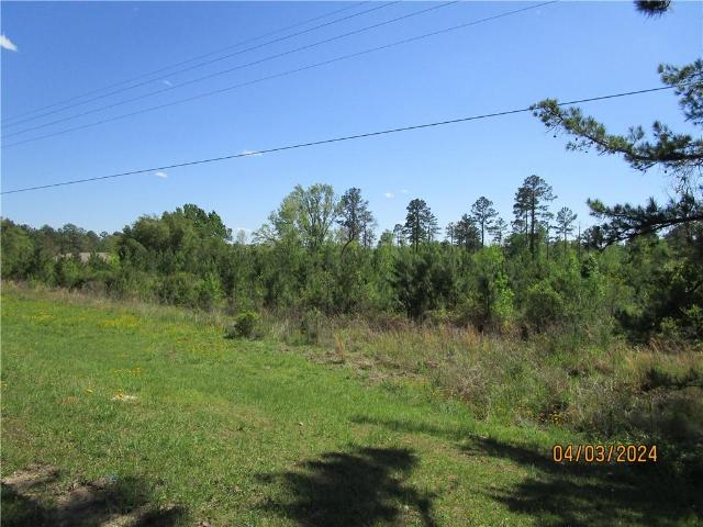 Land for sale in Pollock, Grant Parish