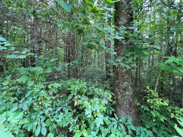 Land for sale in Madison, Indiana