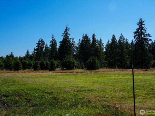 Land for sale in Olympia