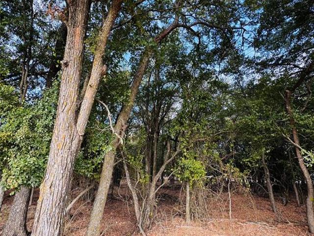 Land for sale in Whitney, Texas