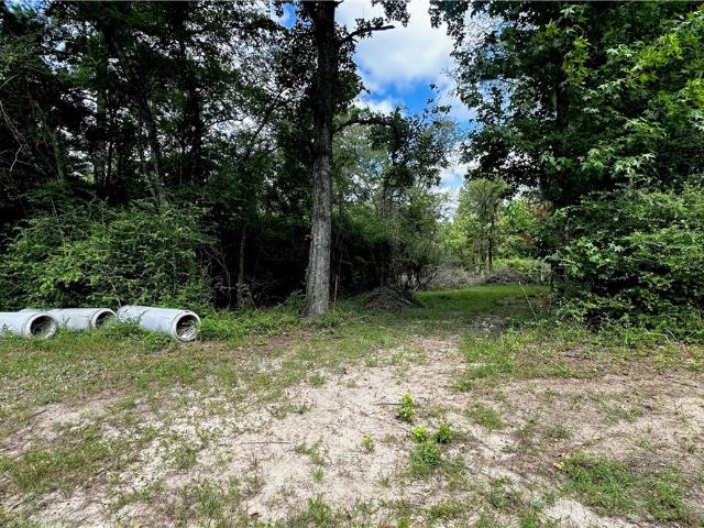 Land for sale in Leon, Texas