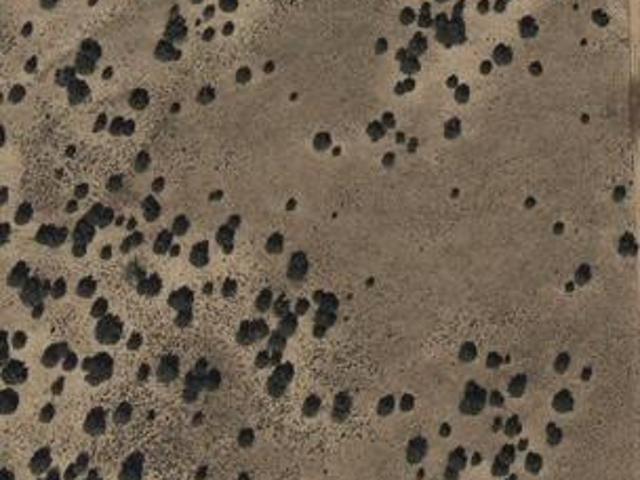 Land for sale in Arizona