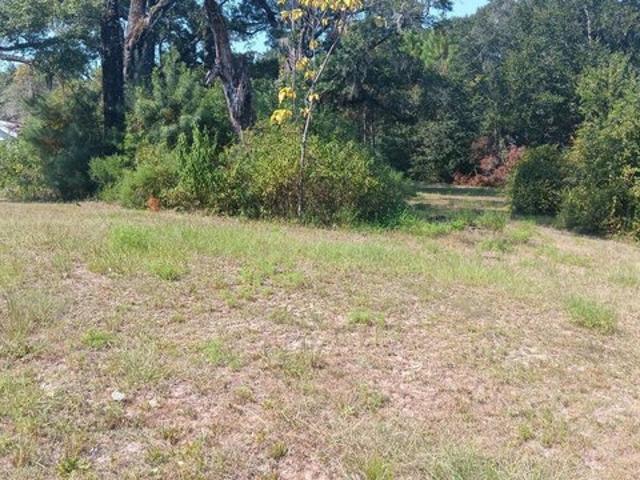 Land for sale in Ponce de Leon, Holmes County