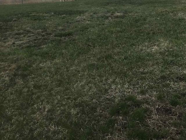 Land for sale in Parkersburg, Iowa