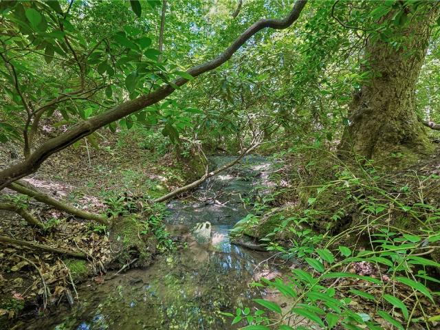 Land for sale in South Carolina