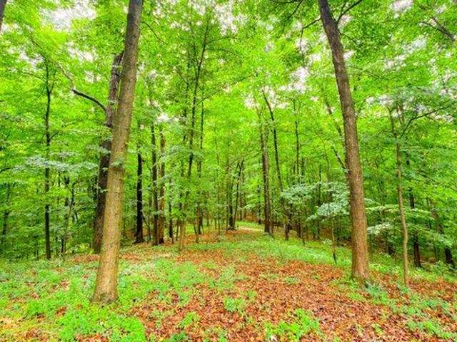 Land for sale in Ohio