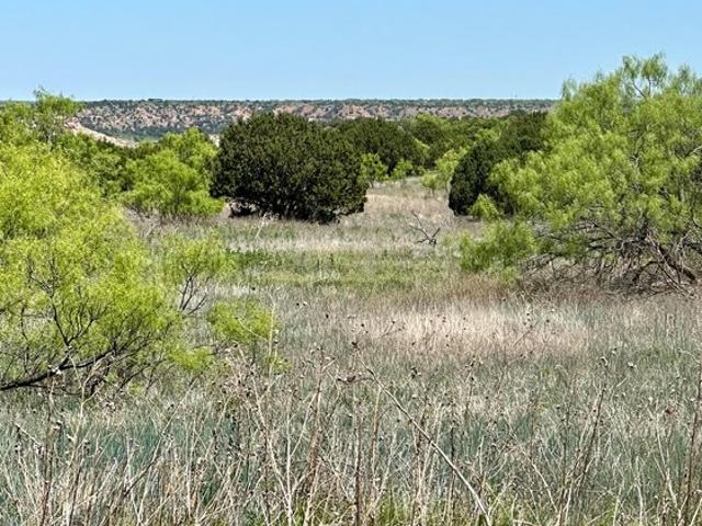 Land for sale in Randall, Texas
