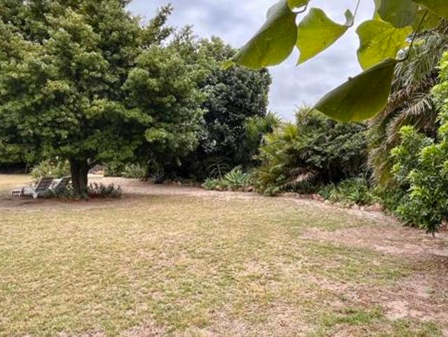 Land for sale in Eastern Cape