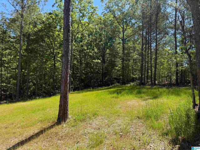 House for sale in Odenville, Alabama