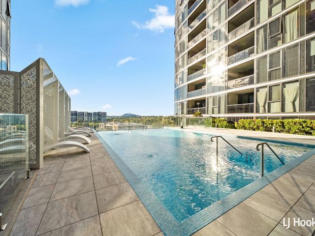 Apartment for rent in Phillip, District of Woden Valley