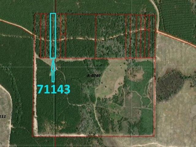 Land for sale in Polk, Texas