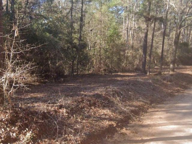 Land for sale in Polk, Texas