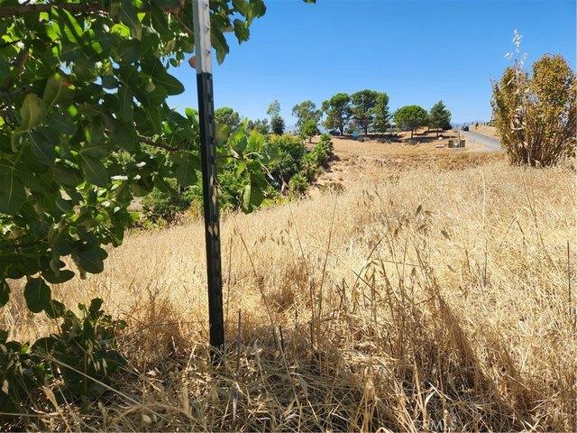 Land for sale in Corning, California