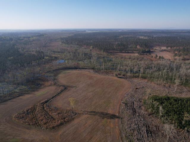 Land for sale in Lake City, South Carolina