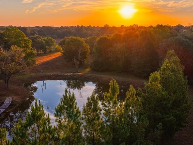 Land for sale in Powderly, Lamar County