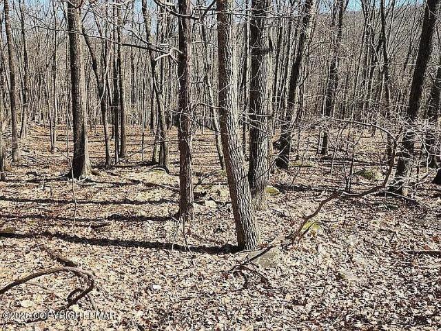 Land for sale in Bartonsville, Pennsylvania