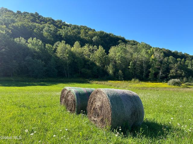 Land for sale in Berne, New York