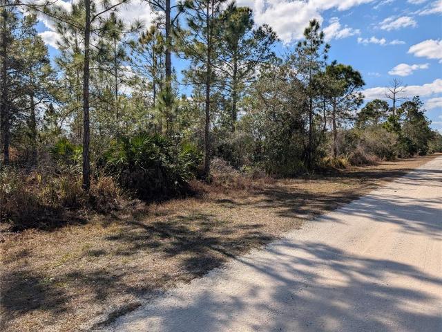 Land for sale in Lake Wales, Florida