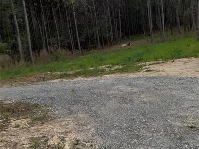Land for sale in Adairsville, Bartow County