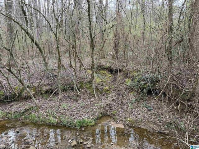 Land for sale in Warrior, Alabama