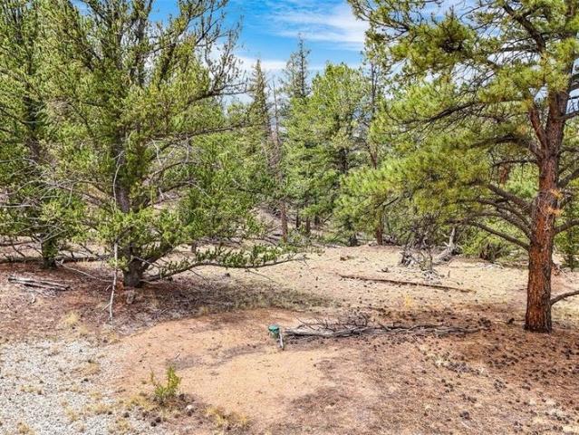 Property for sale in Colorado