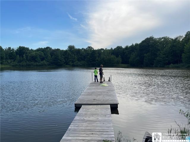 Land for sale in Ashville, New York