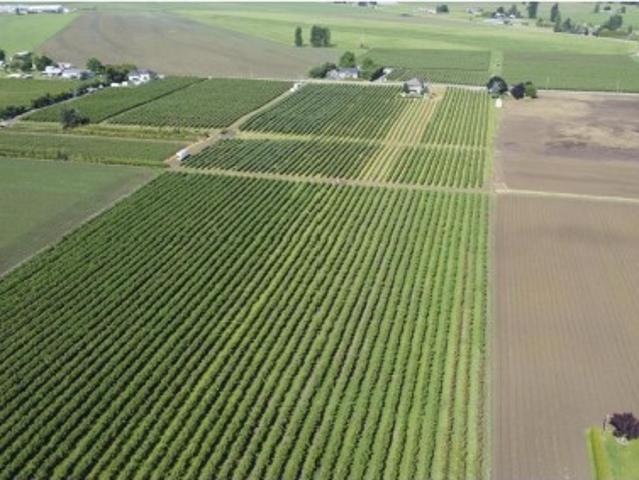 Farm for sale in Abbotsford, British Columbia