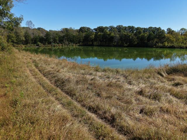 Land for sale in Nolensville, Middle Tennessee