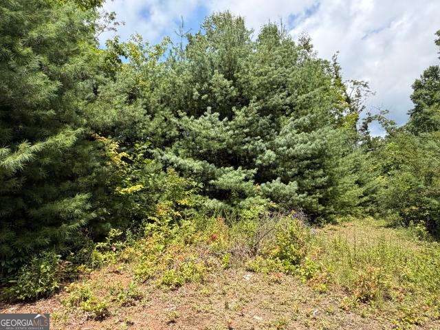 Land for sale in Hiawassee, Georgia