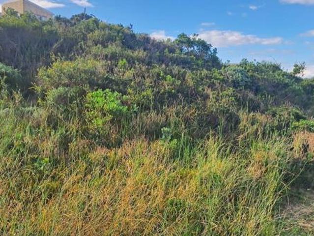 Land for sale in Cape St Francis, Eastern Cape