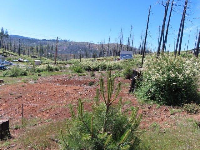 Land for sale in Grizzly Flats, California