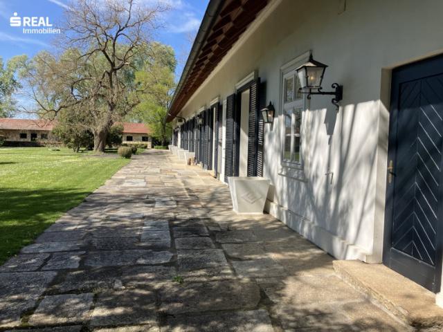 Haus kaufen in Frauenkirchen