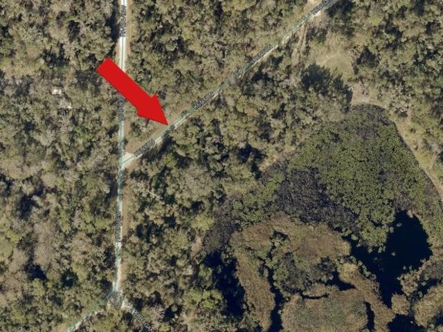 Land for sale in Webster, Florida