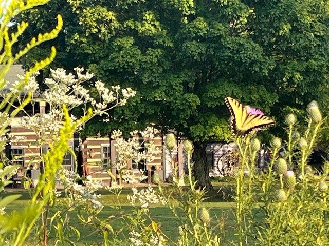 Farm for sale in Tennessee