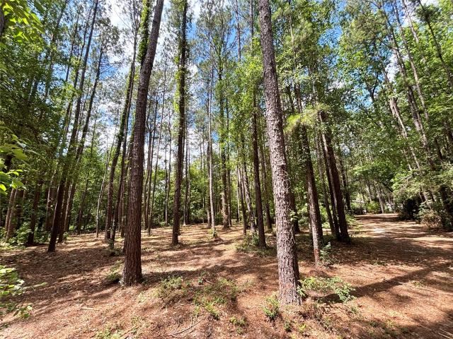 Farm for sale in Hillister, Texas