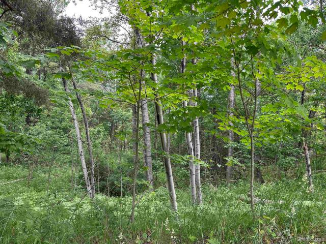 Land for sale in Marquette, Michigan