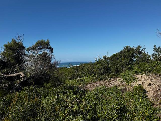 Land for sale in Cape St Francis, Eastern Cape
