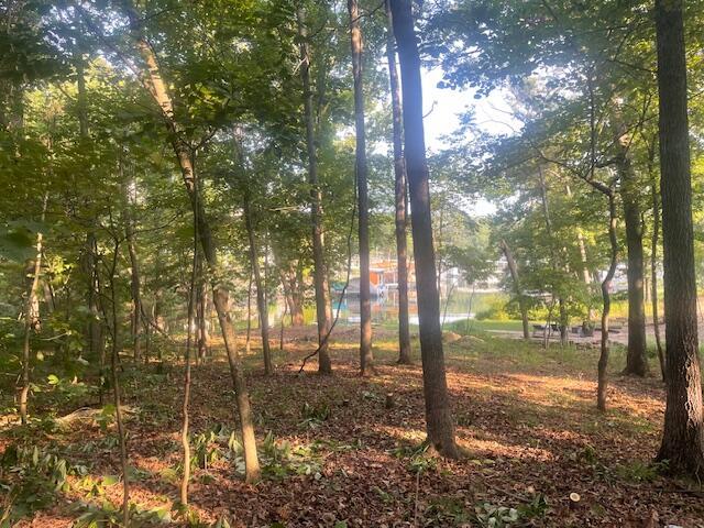 Land for sale in Sunrise Beach, Missouri