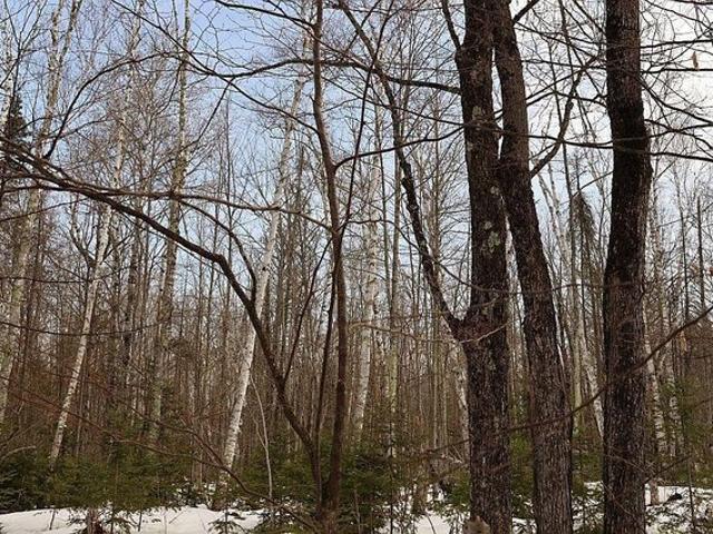 Land for sale in Brule, Wisconsin