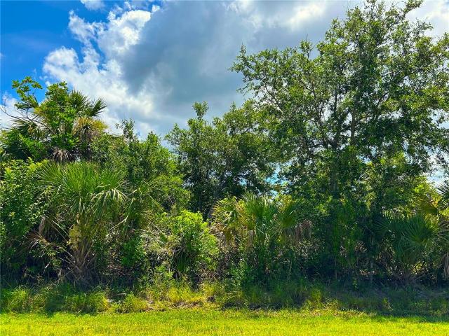 Land for sale in Florida