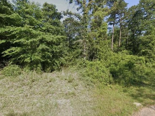 Land for sale in Gilchrist, Texas